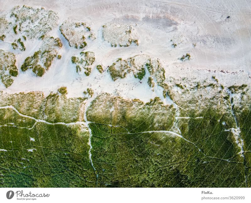 Bird's eye view of the dunes North Sea Denmark Nature Landscape Horizon ultra robbery Tourism Coast coastal landscape Marram grass Beach Relaxation travel