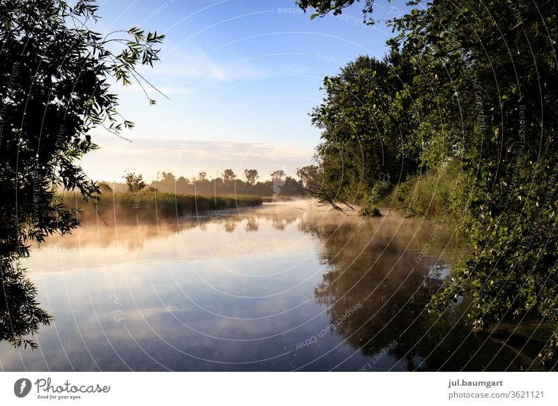 Morning mood at the lake Sunrise Summer reflection Water Lake Trees in the lake Play of colours Reflection Landscape Deserted Nature