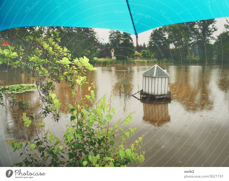 Rain Park Exterior shot Environment Plant natural Umbrellas & Shades Nature Deserted out huts Panorama (View) Twilight Flash photo Copy Space top discreet Idyll