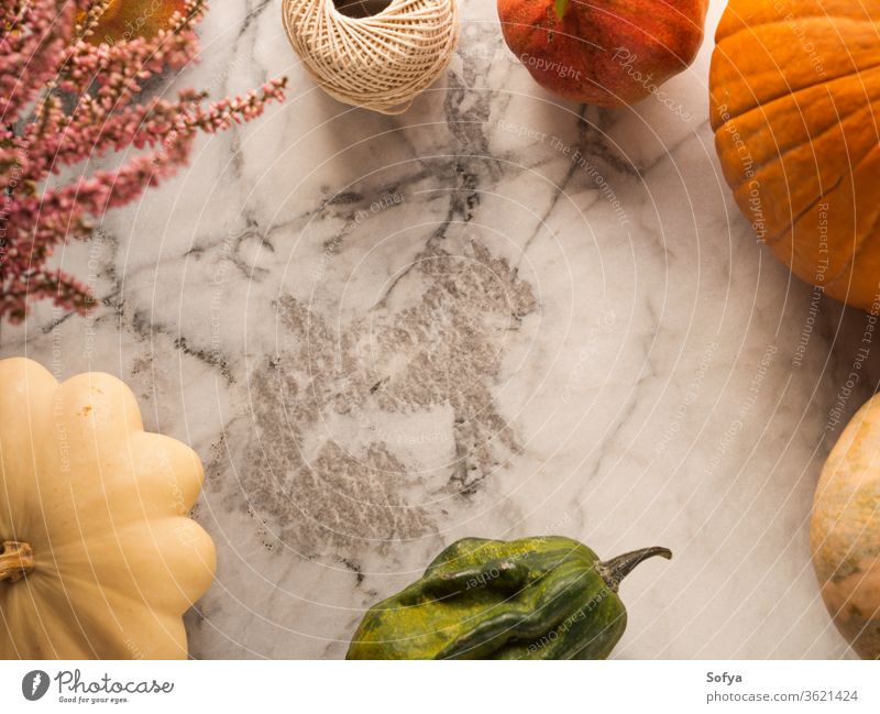 Autumn harvest frame background autumn thanksgiving marble pumpkin squash design food halloween season orange october invitation leaves dinner table fall