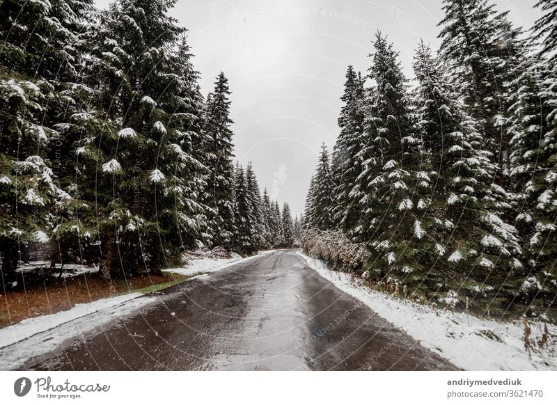 scenic view of the road with snow and mountain and giant trees background in winter season. Morske Oko sky mountains white nature weather blue travel landscape