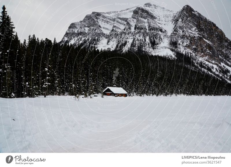 house in the middle of a snown mountain lanscape Winter clouds cold copy space day daylight forest high altitude land landscape mountains nature rural sky