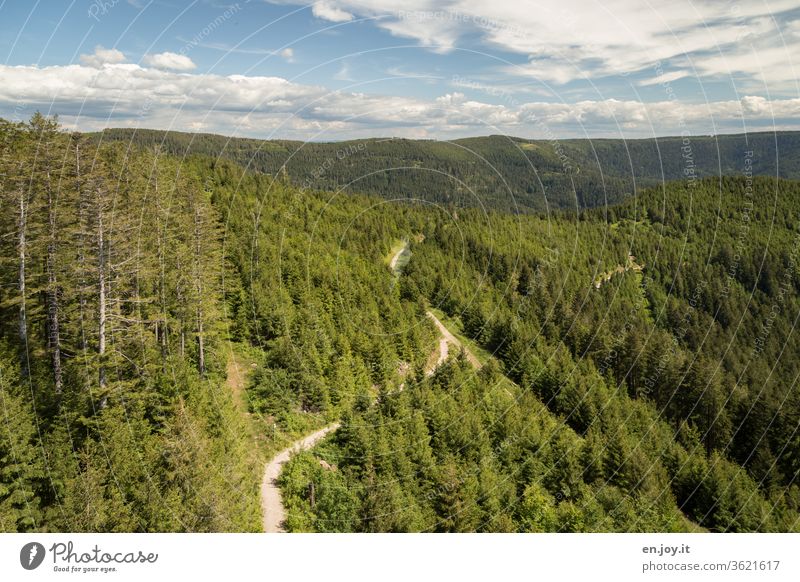 View of the Black Forest and a hiking trail Germany Baden-Wuerttemberg Mountain National Park Horizon Coniferous forest firs Trip vacation Vantage point