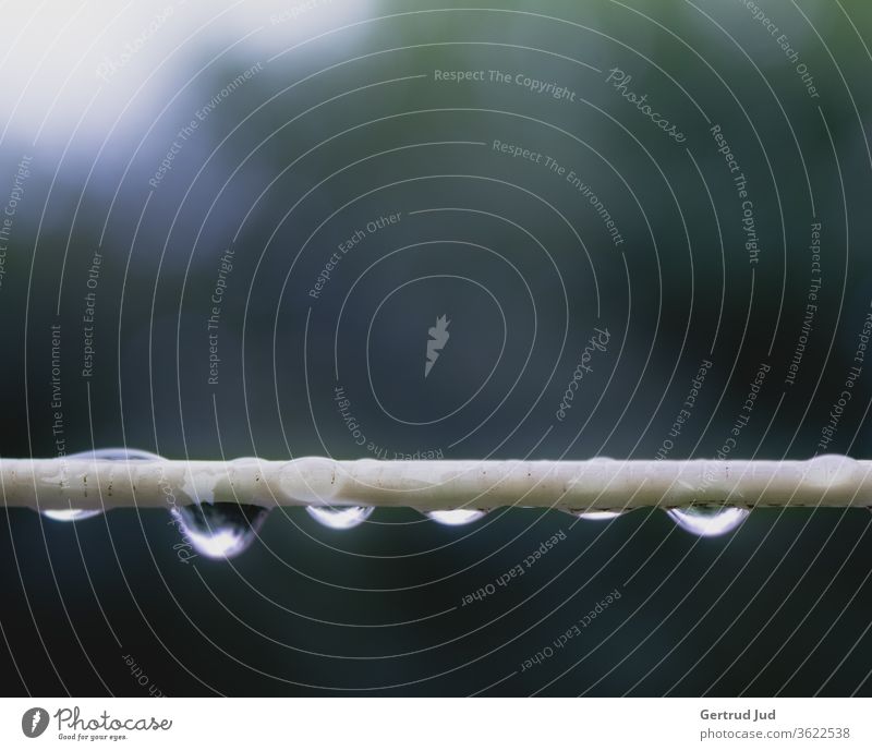 Raindrops on the clothesline Rainy weather Wet Drops of water Water Damp Close-up Weather Macro (Extreme close-up) Clothesline