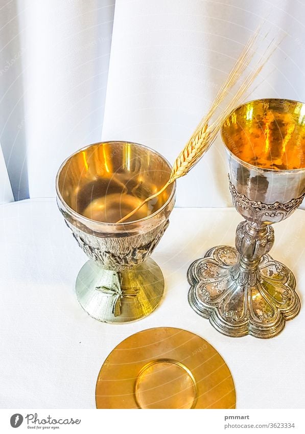 ear of wheat for bread which becomes the body of Christ and chalice to house wine, the blood of Christ. corn altar mass pyx goblet contain hosts communion