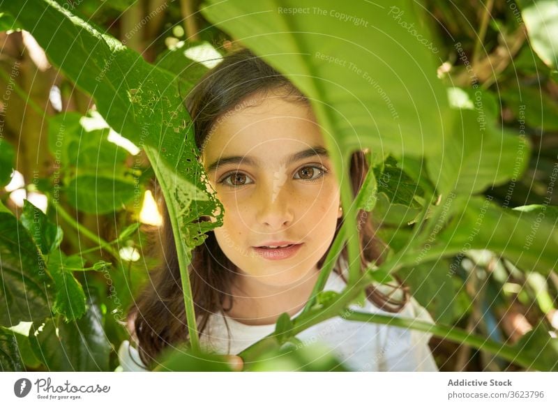 Smiling girl in green garden tree summer smile positive foliage kid portrait happy charming preteen brunette park nature fresh content child enjoy adorable