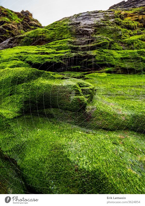 Beautiful waterfall over mossy stones in the Cove of Tintagel in Cornwall cliffs cornwall coast coastal uk england britain british coastline scenic cornish