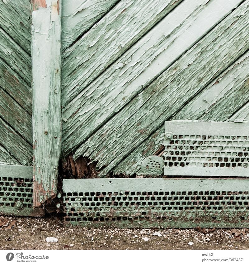 underneath Wood Old Trashy Turquoise Colour photo Subdued colour Exterior shot Close-up Detail Structures and shapes Deserted Copy Space top Day