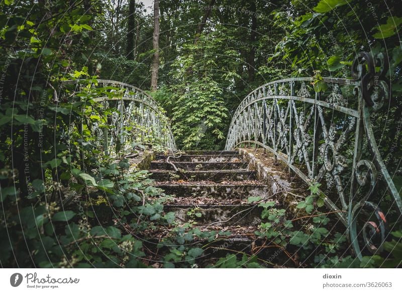 Secret Garden Bridge Park Feral overgrown lost places Transience Apocalyptic sentiment Decline Ravages of time Old Past Change Derelict Bridge railing trees