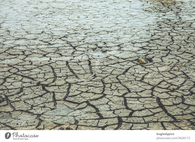 Very dry soil/ mudflat/ sandy soil with large cracks and furrows. The soil looks as if it has been dried out by great heat or a drought. Ground