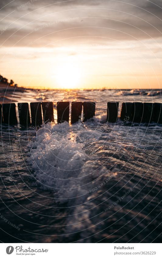 #A# Baltic stages at sunset Stage Sunrise groynes Buhnen in the sea Nature Baltic island Baltic resort Vacation destination Relaxation vacation Coast