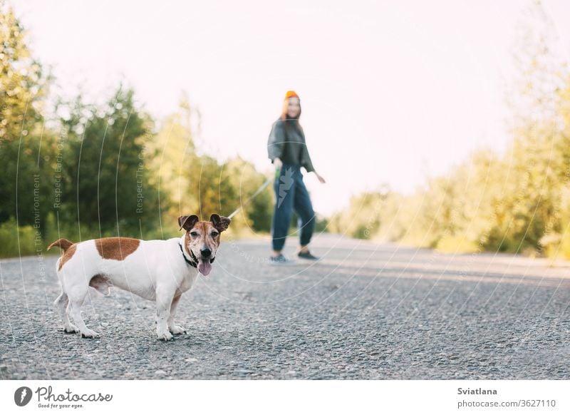 Modern teen girl walking with her dog in nature. Pet, care, friendship. Blurred background, park young woman animal pet summer outdoor leisure beautiful