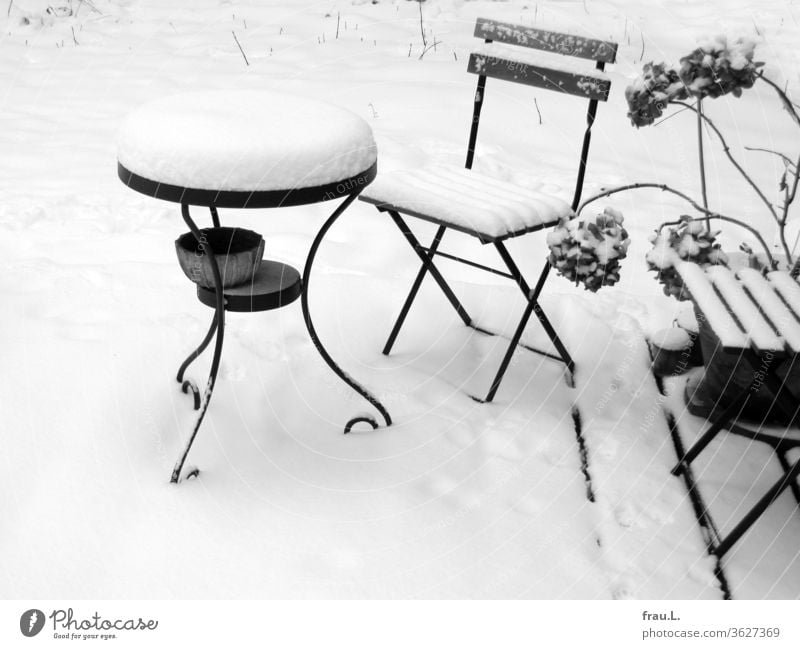 They had been caught cold - now the garden furniture stood in the snow. Winter Snow chill Table Chair Loneliness Deserted Garden Backyard Hydrangea