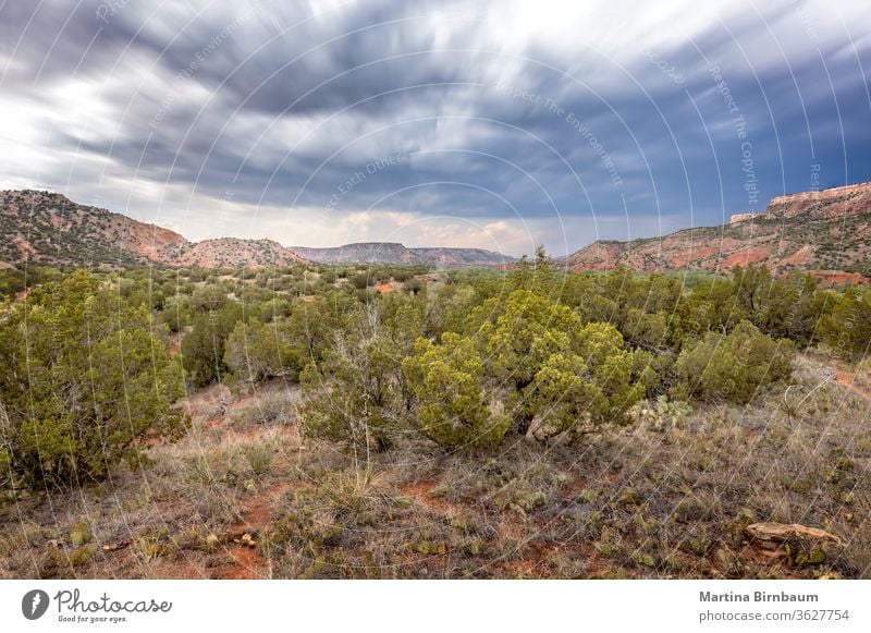 Scenic view over the Palo Duro Canyon State Park, Texas texas nature duro palo canyon desert landscape travel outdoor palo duro canyon park tourism sky mountain