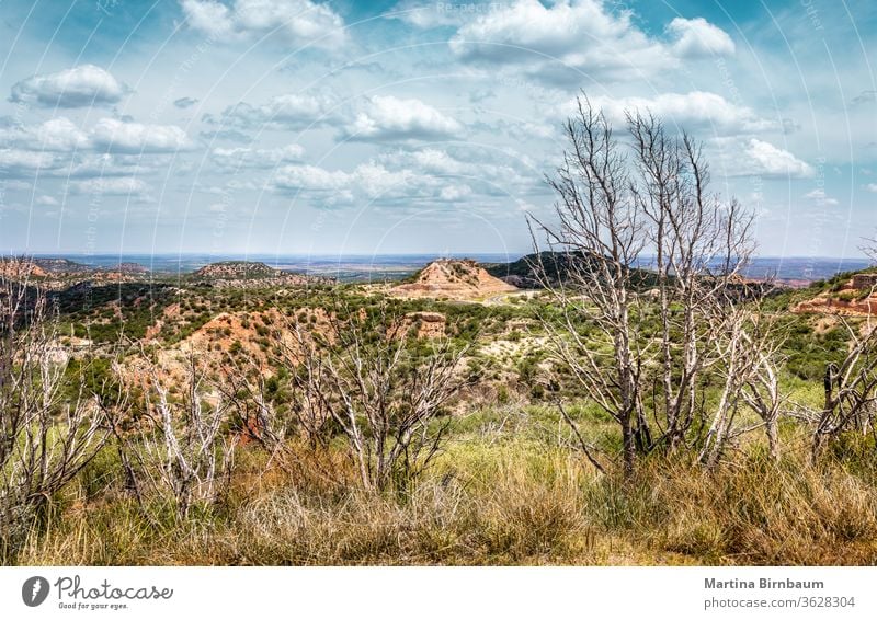 Scenic view over the Palo Duro Canyon State Park, Texas texas nature duro palo canyon desert landscape travel outdoor palo duro canyon park tourism sky mountain