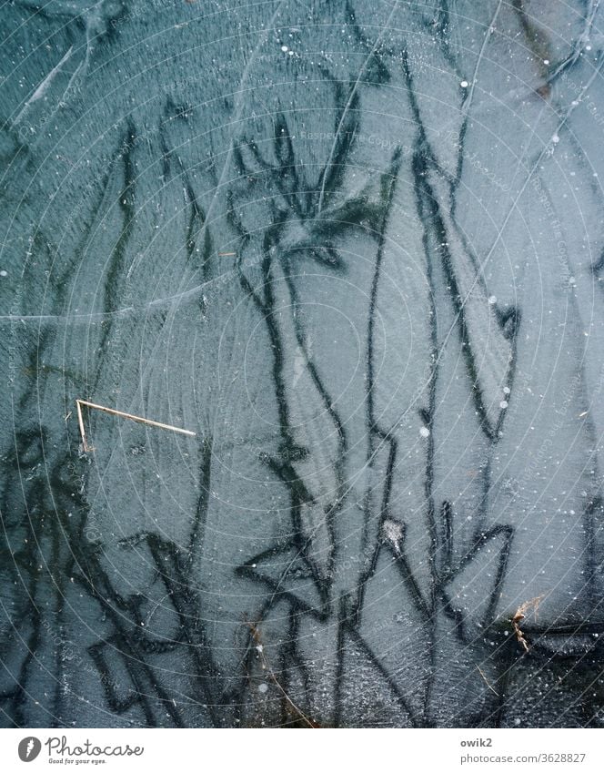 under the ice lines Ice Under Frozen Bizarre Cold Frost Winter Exterior shot Deserted Day Colour photo Nature Structures and shapes Detail Environment