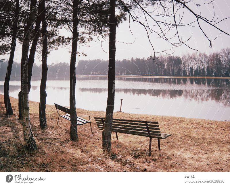 Little by little Environment Nature Landscape Plant Water Sky Weather Climate Horizon Cloudless sky Beautiful weather Grass Forest Lake Infinity Bench Future