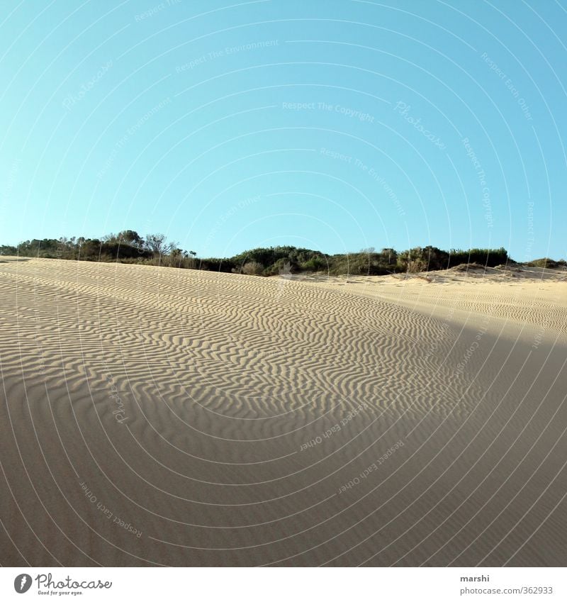 Traces in the sand Nature Landscape Summer Climate Beautiful weather Warmth Drought Coast Beach Ocean Dry Desert South Africa Dune Sand Sky Far-off places