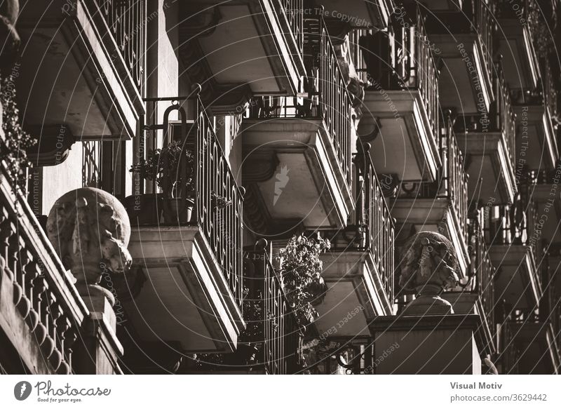 Low angle view of rows of neoclassical balconies on the facade of a residential building pot balcony plant exterior ornament construction old style railing