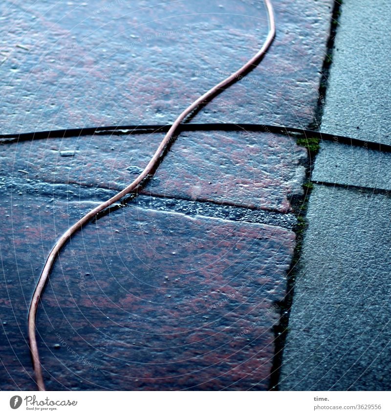 Lifelines #136 power cable Electrics stream Energy Stone Transport protective coat Wet off walkway slabs reflection evening light Blue Reddish Seam crack