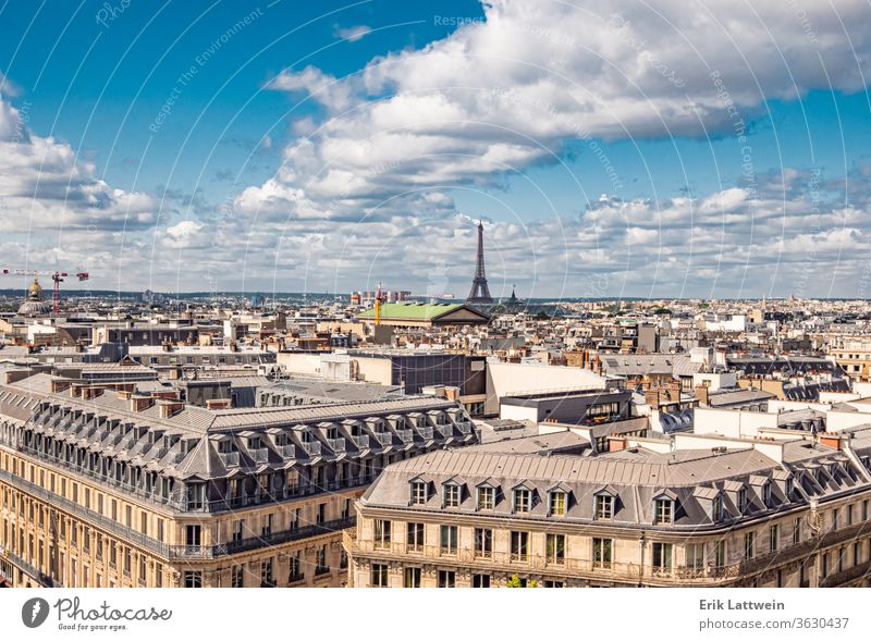 Aerial view over Paris with Eiffel Tower paris travel europe female france french happy young city beautiful landmark tourism tourist vacation summer girl