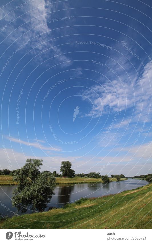 7 days through Brandenburg - Always the Elbe Wind Nature Summer Cornfield Clouds Blue sky Sky Yellow Agriculture Field River Flow Channel tree bank