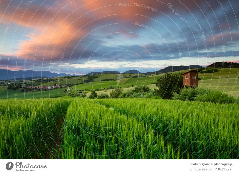 Rural landscape of Turiec region in northern Slovakia. countryside rural fields summer agriculture nature rolling hills hunting lookout crops wheat sunset