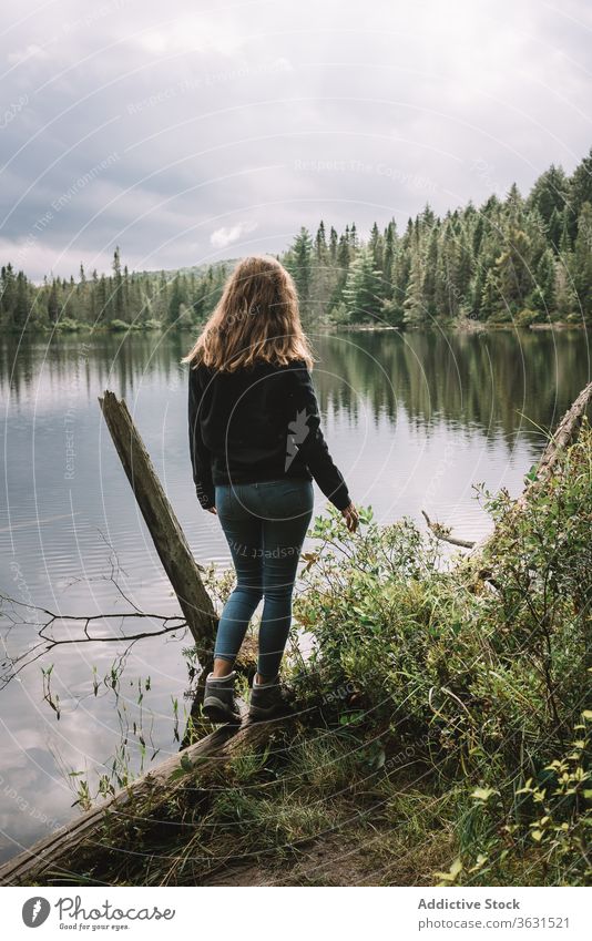 Anonymous traveling woman enjoying lake landscape forest nature freedom harmony shore female water journey tourism adventure algonquin provincial park canada