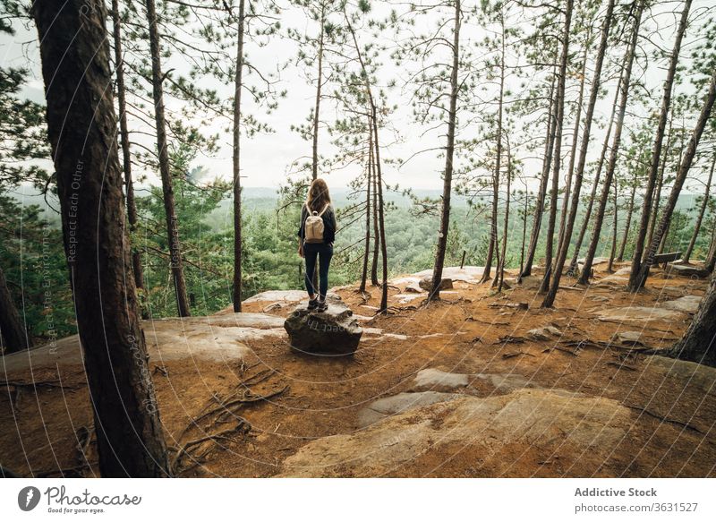 Female hiker walking on mountain slope woman forest nature travel backpacker route algonquin provincial park cloudy overcast landscape female journey tourism