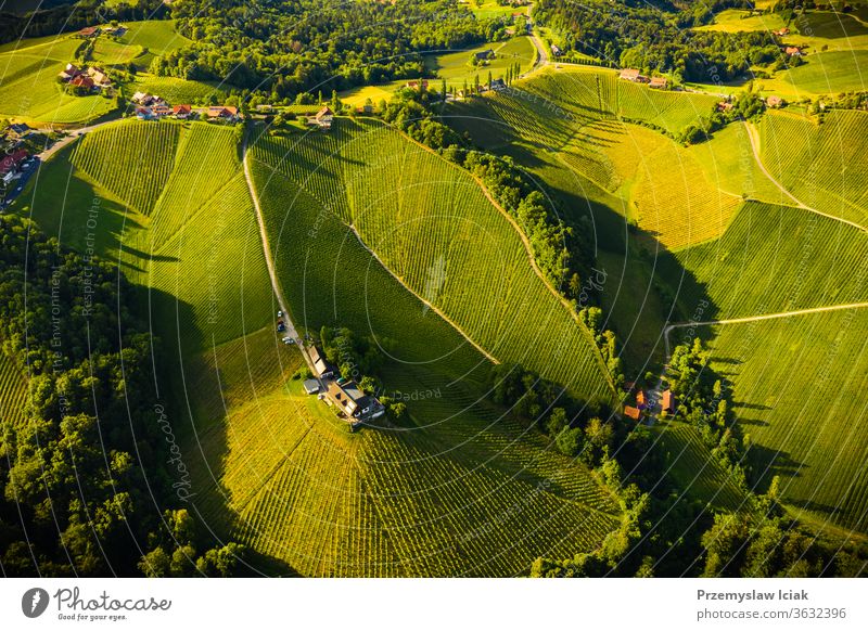 Aerial view of green hills and vineyards with mountains in background. Austria vineyards landscape. summer wine viticulture nature banner sun spring panorama