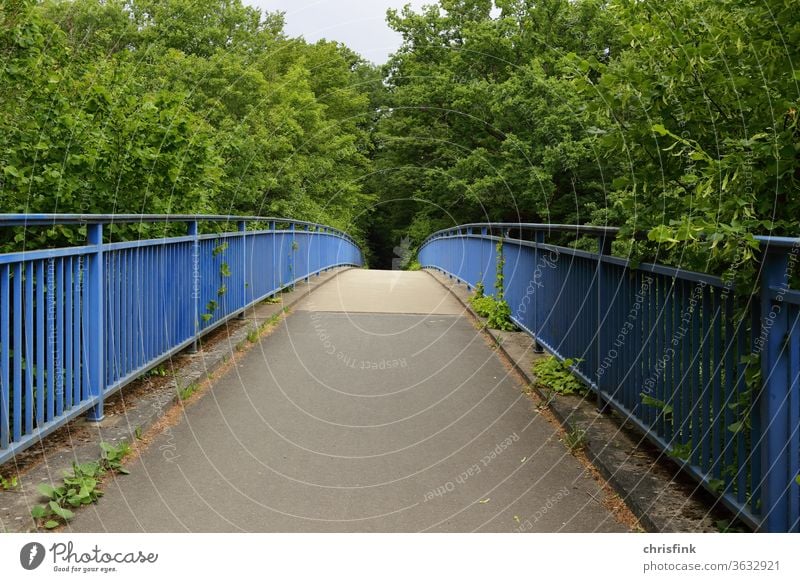 Bridge Pedestrian bridge Footpath off Street pedestrian stroll Walking Going environment nature green plants shrubby railing plants metal scaffolding