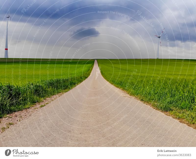 Endless road through a green landscape agriculture countryside field grassland aerial flight fly drone footage meadow nature season summer yellow environment