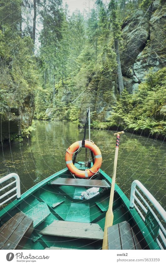 KLAMM Narrow watercourse Elbsandstone mountains Kirnitzschtal Saxony Eastern Germany Forest Brook River course Canyon Nature Landscape Mountain Exterior shot