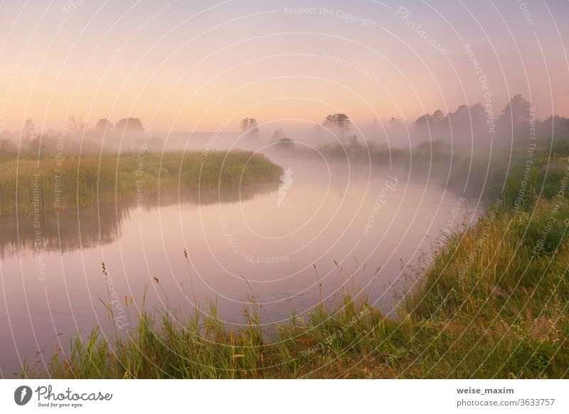 Morning fog on river. Beautiful summer sunrise landscape morning nature tree background water mist outdoor reflection dawn foggy cloud green sunlight colorful