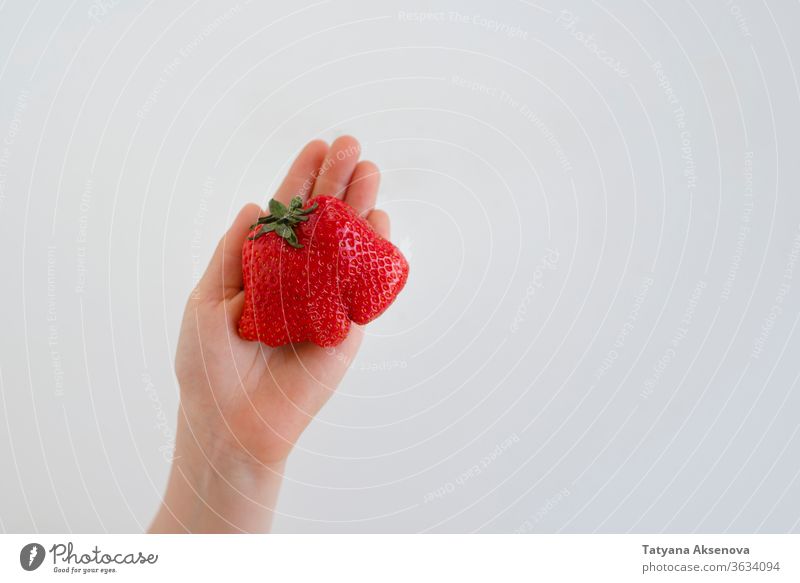 Ugly strawberry fruit in hand. Reduce food waste ugly organic shape healthy deformed imperfect fresh natural ripe vegetarian red agriculture ugly fruit produce