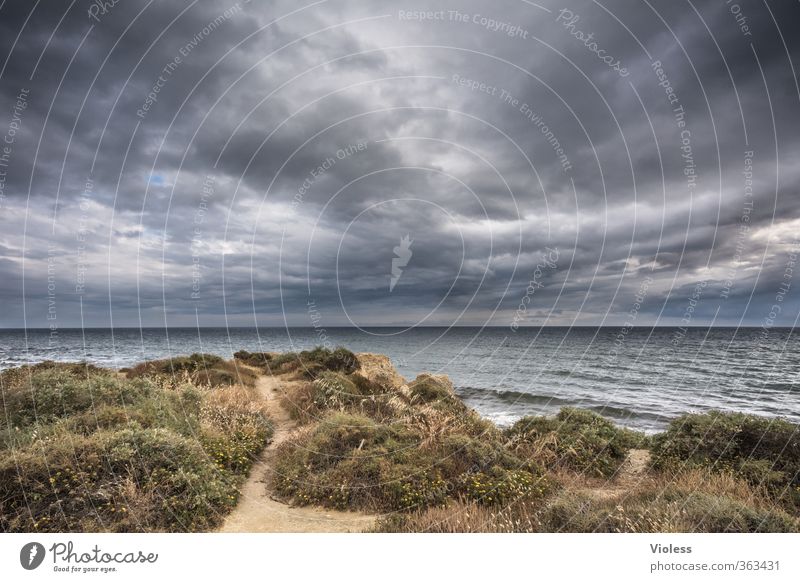 the wind whistle... Tourism Summer vacation Ocean Nature Landscape Sky Clouds Weather Storm Wind Coast Bay Relaxation Wanderlust Algarve dark sky Colour photo