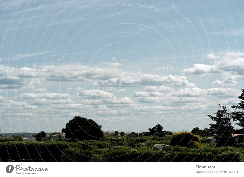 Friendly sky over Danish cemetery Sky Clouds Beautiful weather Cemetery gravestones plants Hedge trees Denmark