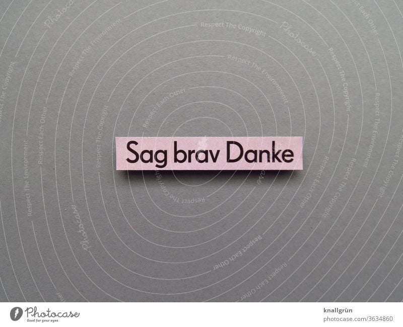 Say thank you. Thank label Parenting togetherness manners Friendliness Infancy upbringing Role model Child Human being Expectation Letters (alphabet) Word leap