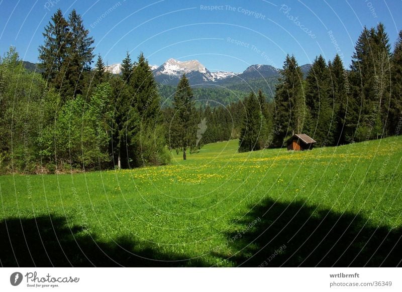 mountain scenery Vacation & Travel Trip Far-off places Freedom Summer Mountain Nature Landscape Spring Tree Meadow Forest Alps Peak Hut Blue Green Bavaria Glade