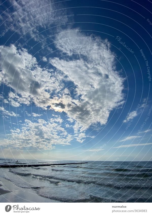 Day at the sea Ocean Baltic Sea stand groynes Waves salt water Summer vacation bathe GDR Island Darss NUDISM Clouds Moody Relaxation wide Horizon