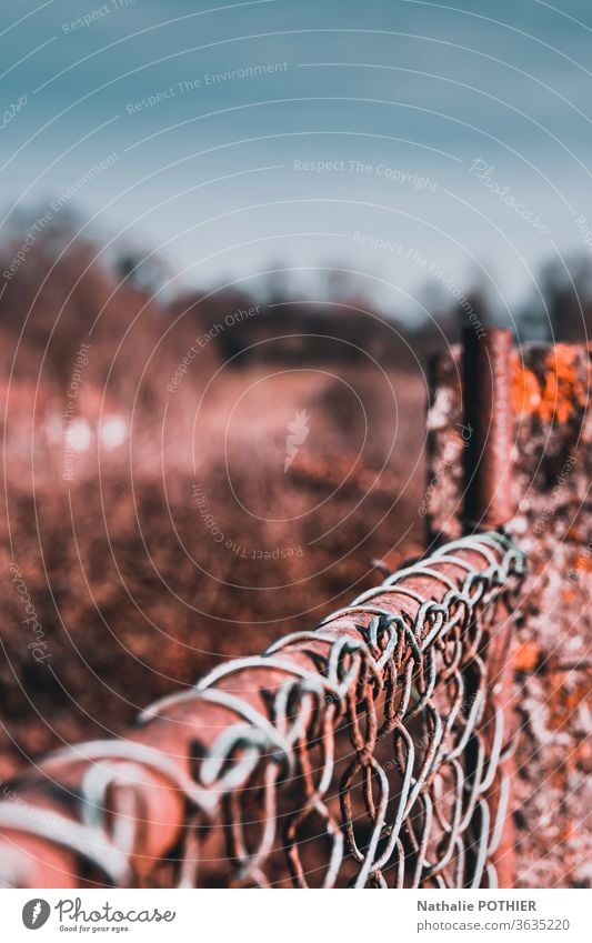 Fence with mesh fence wire mesh closed metal rust close-up Metal Colour photo Exterior shot Close-up Copy Space top Detail post concrete old grunge grungy