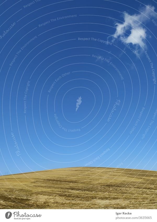 Scenic View Of Field Against Clear Blue Sky Landscape scenic Clear sky Blue sky cloud one Summer Horizon Copy Space