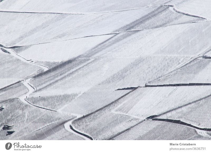 Vast snow vineyards in the mosel valley of Bernkastel-kues in Germany during the winter season German Vineyards Winter Snow covered mosel germany