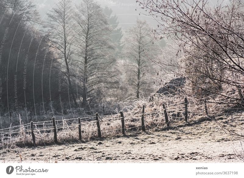 Winter is coming / In the winter wonderland there is a fence with snow and frost in front of winter trees Fence Snow Frost Nature Landscape huts Forest Freeze