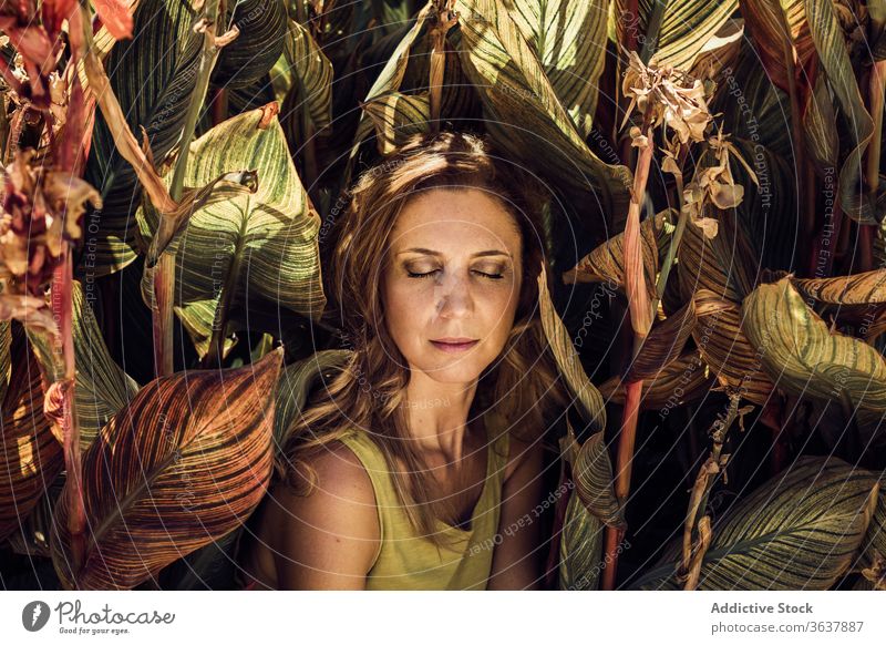 Dreamy woman in canna leaves in a garden tender enjoy gentle leaf park nature dreamy female flower summer tranquil serene peaceful calm charming plant idyllic