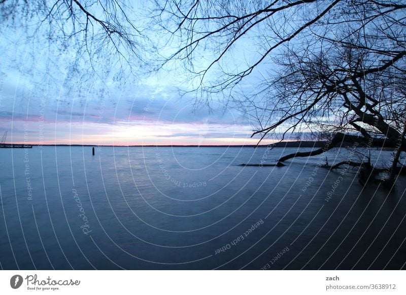 In the morning at the lake Lake Water Twilight Summer Sunset Reflection Clouds Blue Lakeside Sky Nature Landscape Light Calm Relaxation Sunlight Evening Dusk