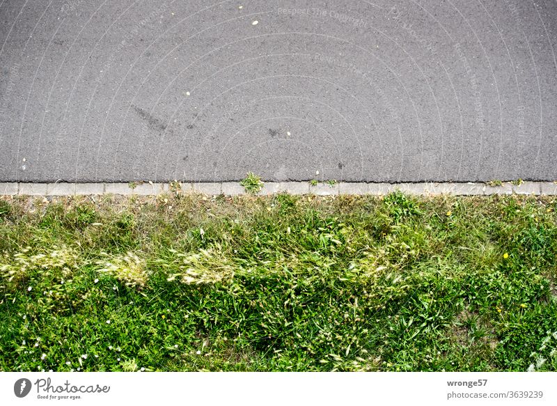 Upper half of the picture a pavement of black asphalt, the lower half green lawn picture sharing upper section top half Half of the picture off Footpath