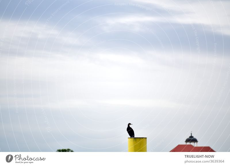 A black cormorant sits on a yellow marked dolphin in front of a grey overcast sky and looks into the area, of which only the red roof of a large building with a curved ornamental tower and the top of a treetop protrude into the picture