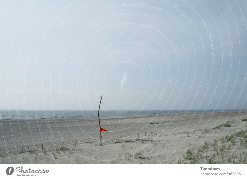 Red in the wind. Vacation & Travel Environment Nature Sand Water Sky Beach North Sea Denmark Flag Blue Green Wind Judder Stick Flags at half mast Colour photo