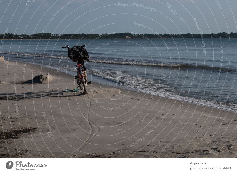 dip Beach Sand Refreshment Ocean Water Summer Vacation & Travel Surf Freedom Sun Coast Waves Bicycle Cycling tour Break take a break Swimming & Bathing